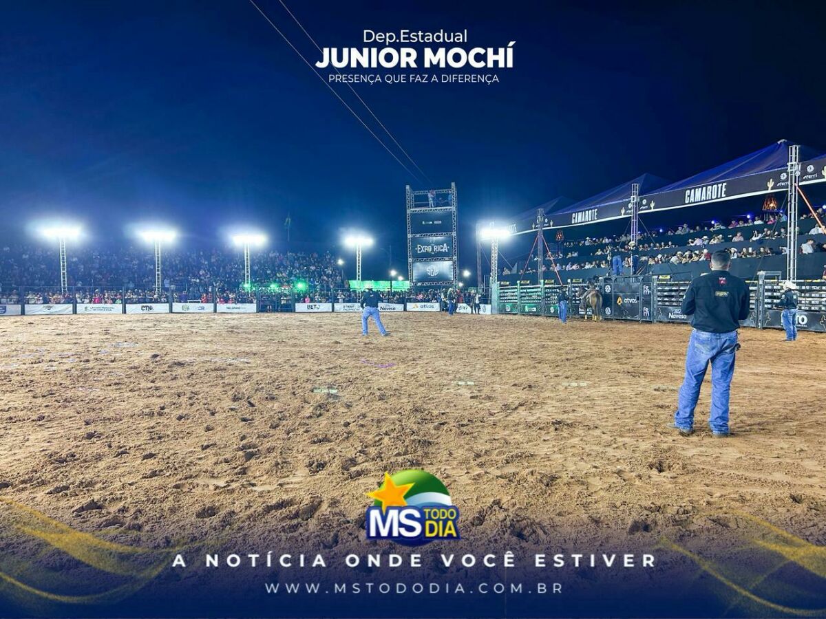 Imagem da Galeria